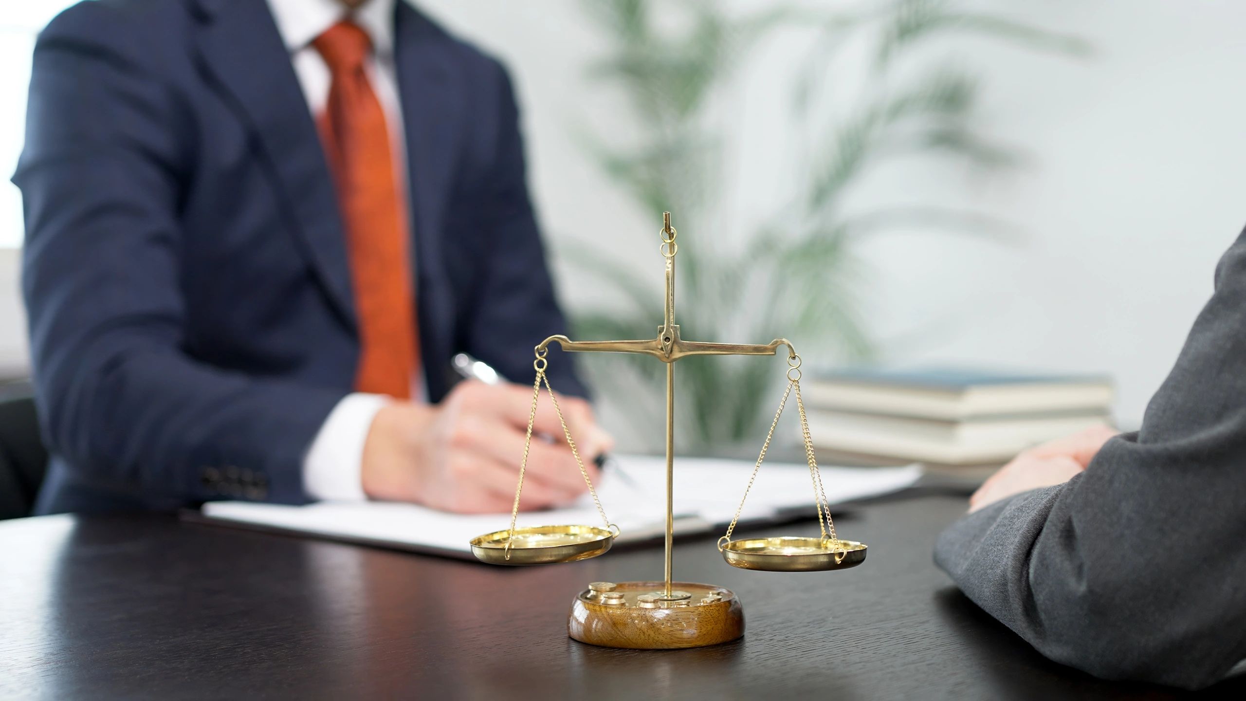 lawyer consulting client